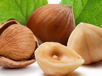le-nocciole-utili-per-il-il-sistema-cardiovascolare