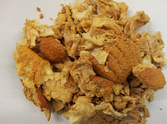 pane-per-celiaci-con-buccia-e-polpa-di-arancia
