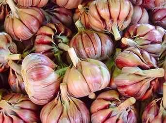 perche-laglio-fa-cosi-bene-prepariamo-una-una-crema-allaglio