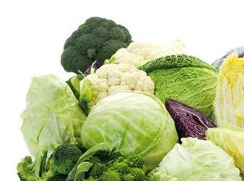 alcuni-alimenti-si-per-la-prevenzione-del-cancro