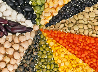 occhio-sulle-proteine-vegetali
