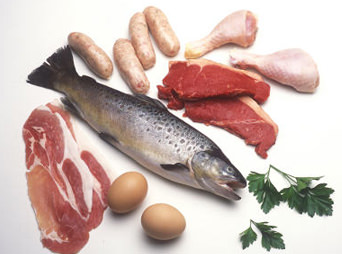 zinco-nutriente-importante-per-sintesi-proteica