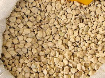 ricette-tradizionali-prepariamo-una-minestra-di-cicerchie
